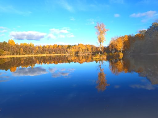 Örken in Böksholm, ca. 500m vom Haus