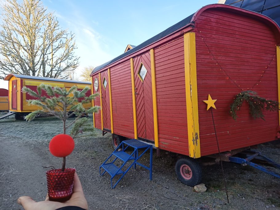 12 Merry Christmas mit röda näsor tree