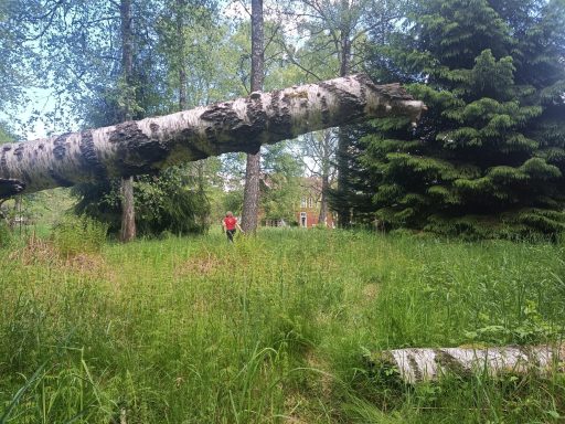 Hinterm Haus geht es zu einem kleinen Bach
