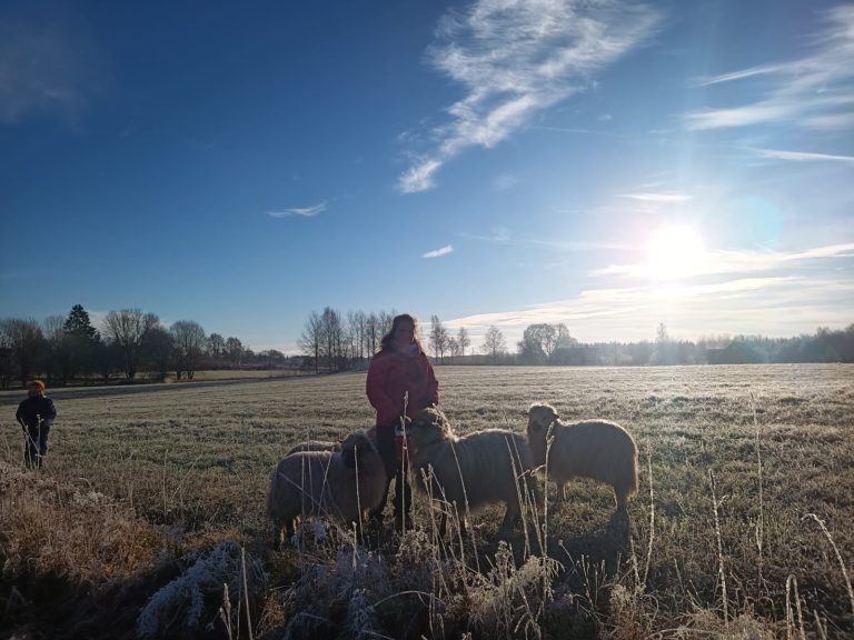 Aufbruch zur Christbaumsuche Start zur Christbaumsuche