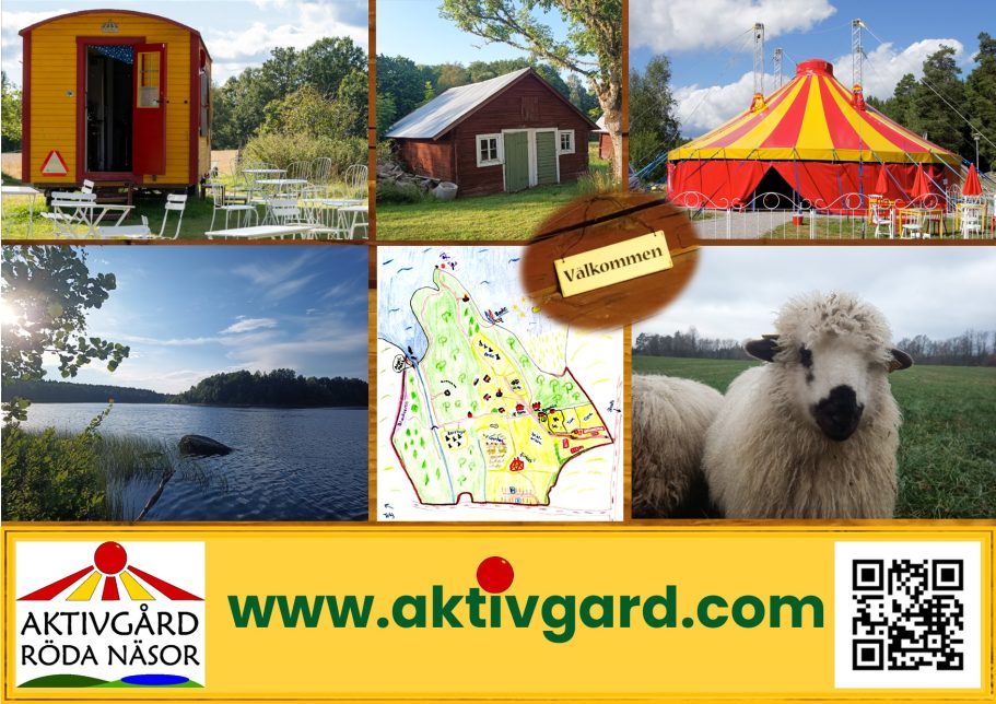 12/19: frisch gebackene Website geht online