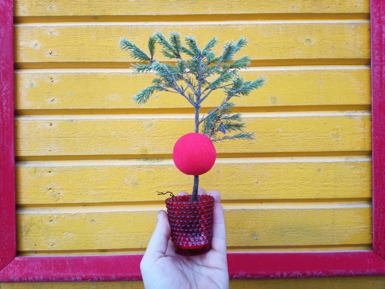 Little red nose tree:-)