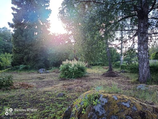 Der Garten, ein großer Naturspielplatz