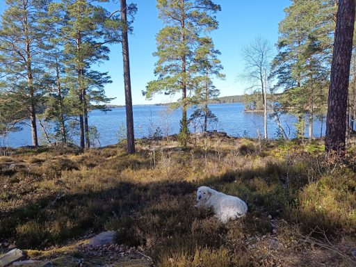 Hundeparadies am Örken