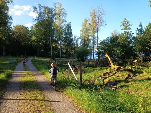gemütliche Rad- und Wanderwege im Braås-Park