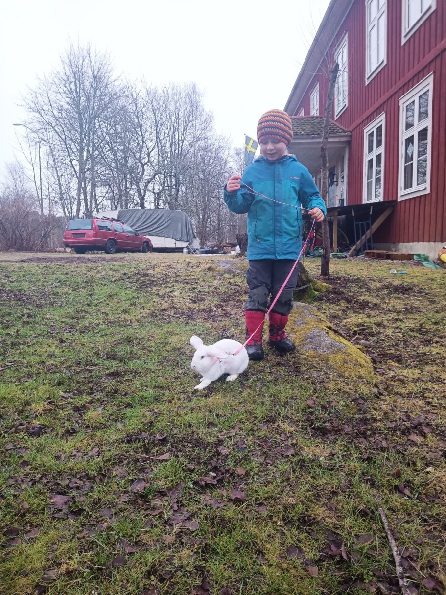 01/26: Elvis unser 1.Neuzugang